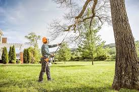 Best Seasonal Cleanup (Spring/Fall)  in Rio Linda, CA
